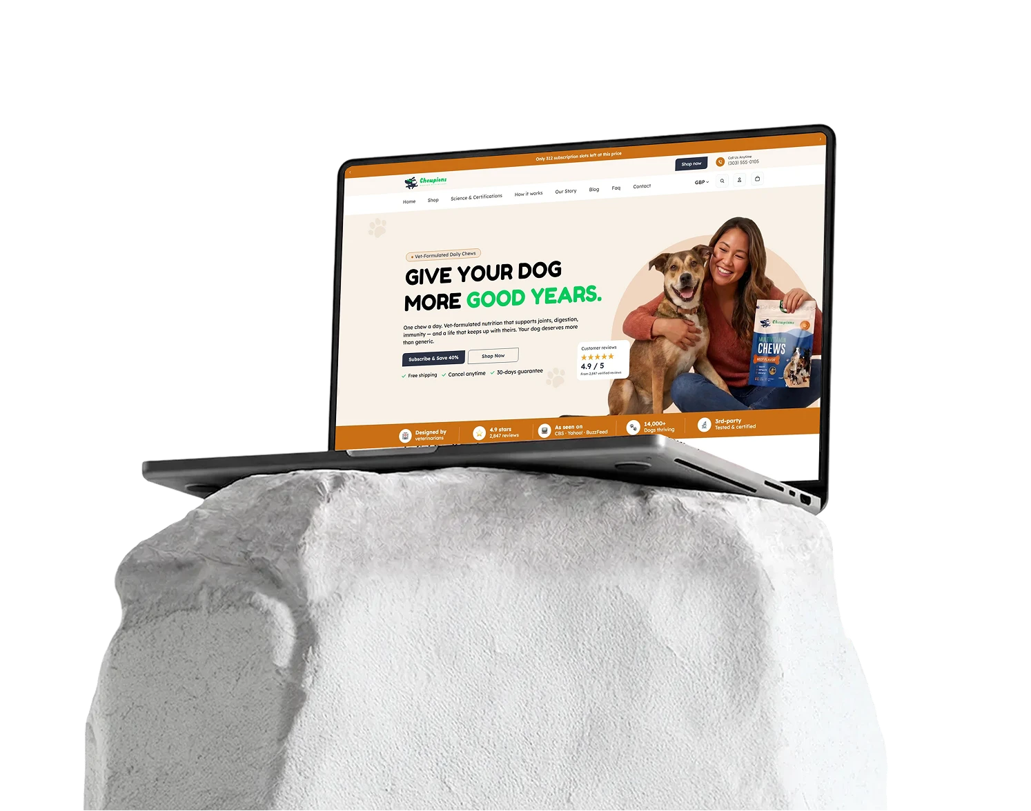 chewpions banner by TAIBA Creations