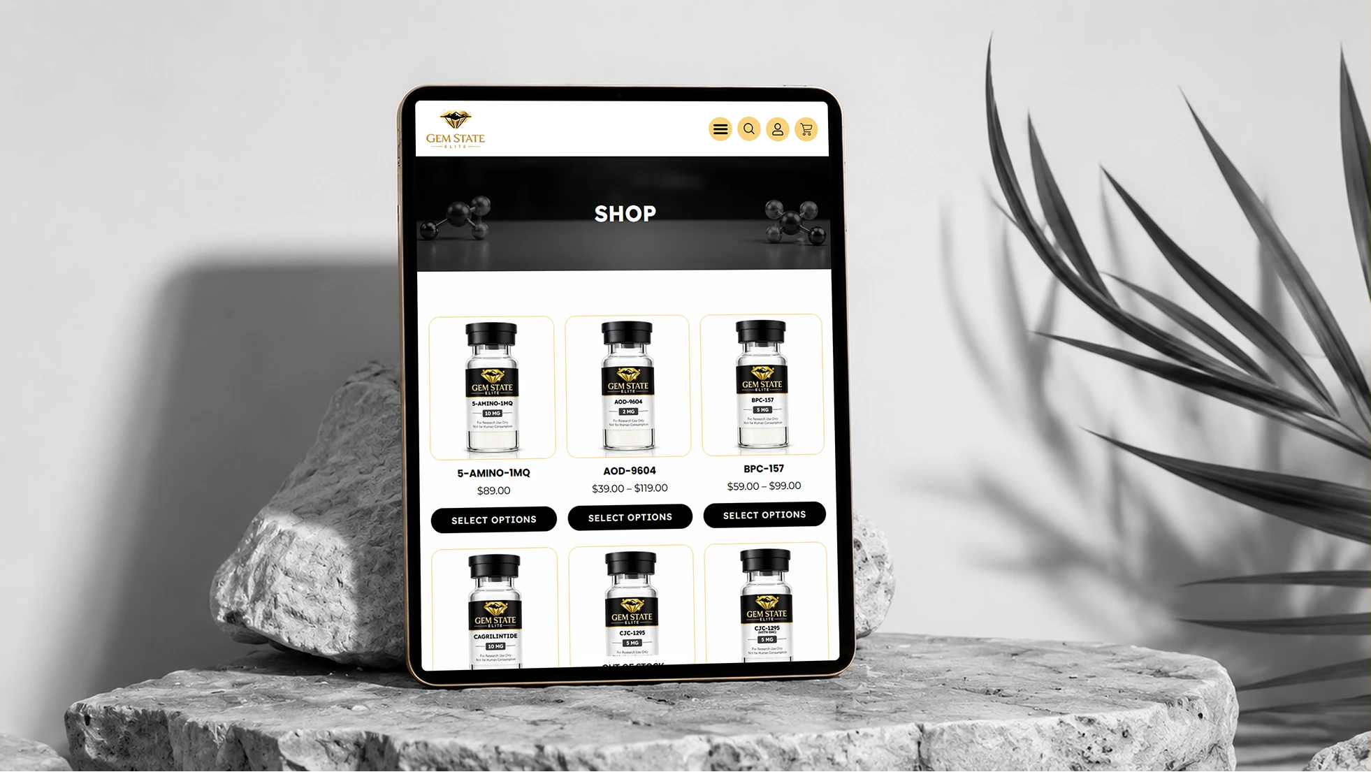 gem solution 3 by TAIBA Creations gem solution 3 by TAIBA Creations